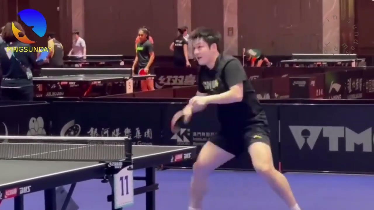 MA Long, Fan Zhendong, Wang Chuqin at WTT Macao 2024