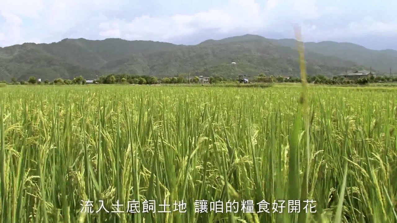 望水 - 農村武裝青年