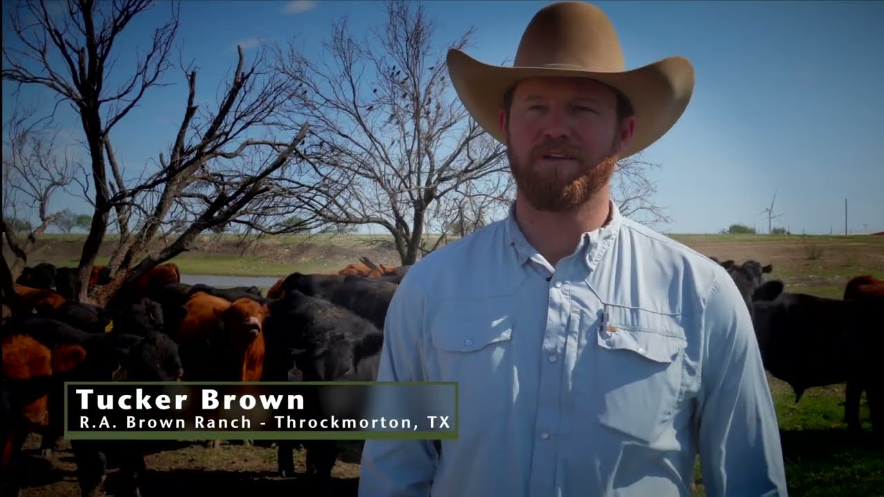 How R.A. Brown Ranch Uses FerAppease