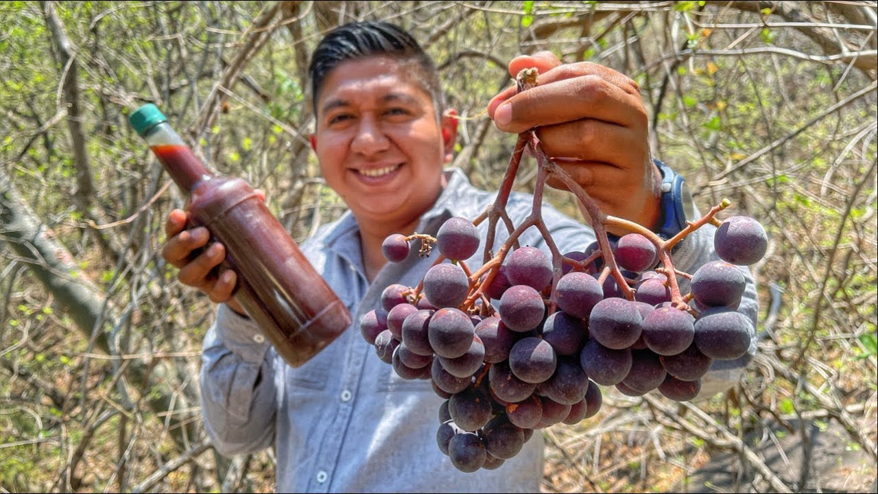 En busca de las uvas silvestres de Tlaxmalac | SUSCRÍBETE |