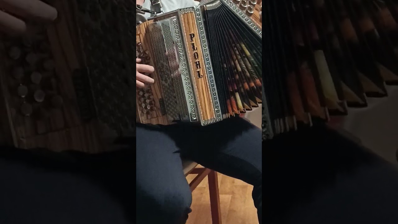 Harmonika PLOHL model extrem c.f.b