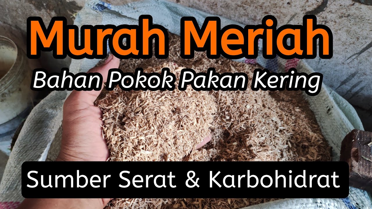 MURAH MERIAH...!!! Bahan pokok pembuatan pakan kering, sumber serat dan karbohidrat