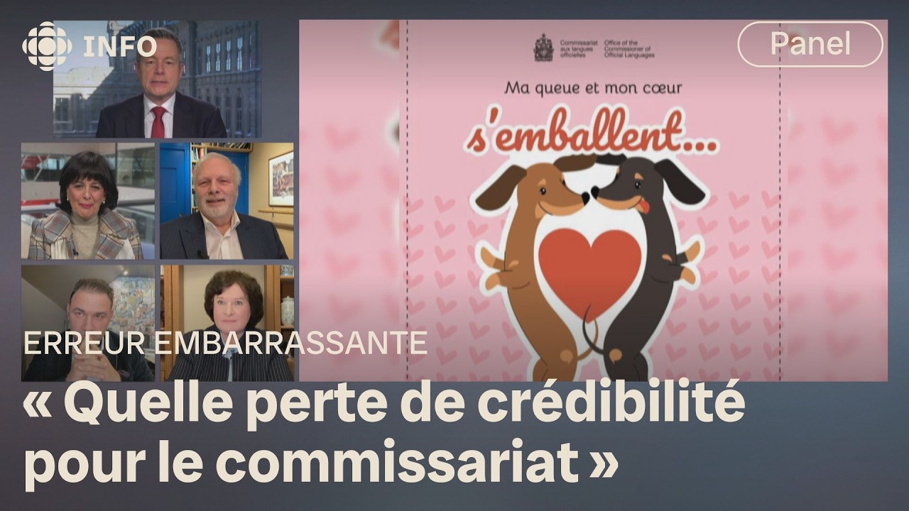 Le Commissariat aux langues officielles du Canada est-il vraiment bilingue? | Mordus de politique