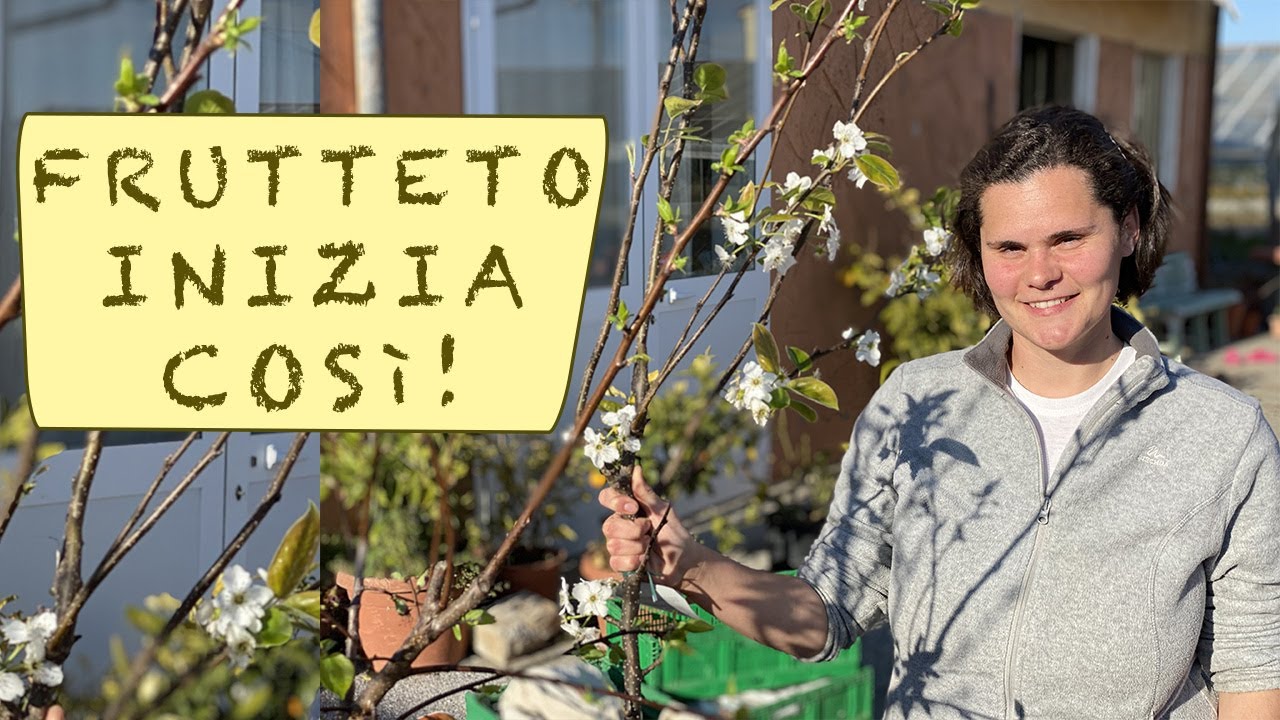 FRUTTETO nell'orto - come iniziare