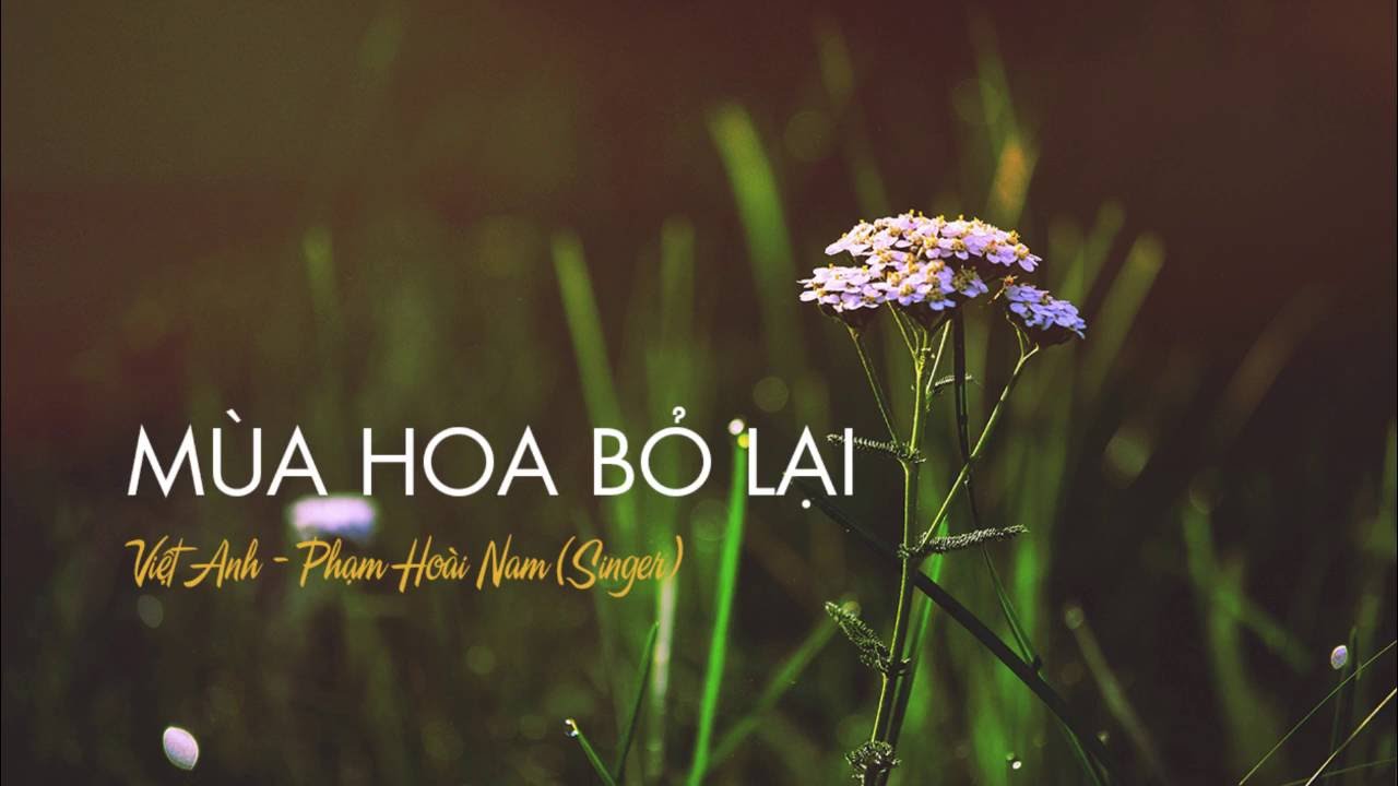 M&ugrave;a hoa bỏ lại - Phạm Ho&agrave;i Nam