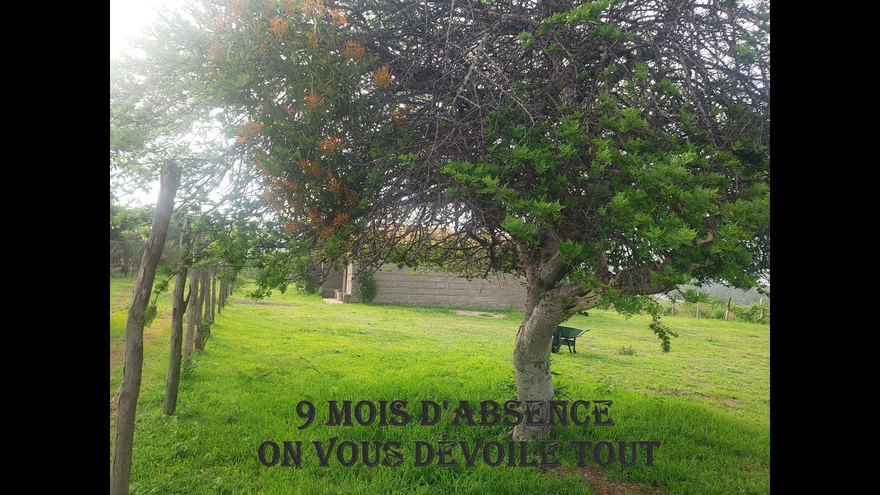 SAISON 2 EPISODE 1 : Qu'avons nous fait ces derniers mois !