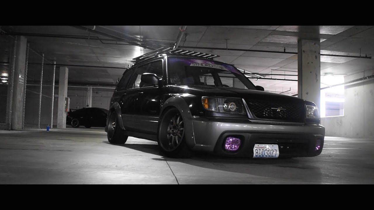 Logan's Fozzy