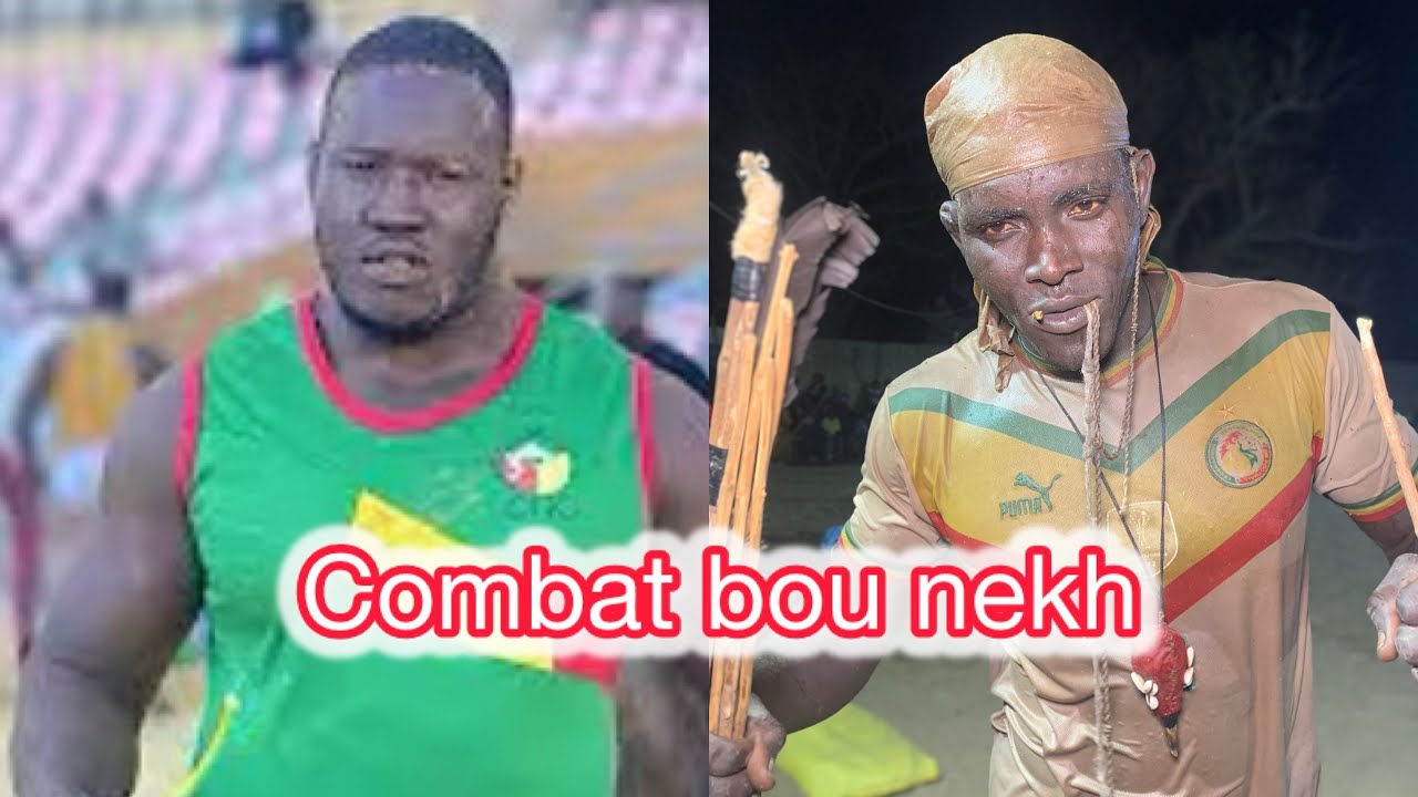 Combat Choc Dib Boyard Vs Gouygui Djilasse à Roh 16 Février 2026