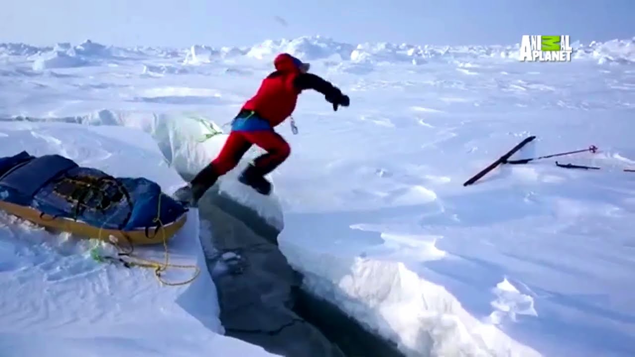 Two Explorers Hike to North Pole as Ice Begins to Melt