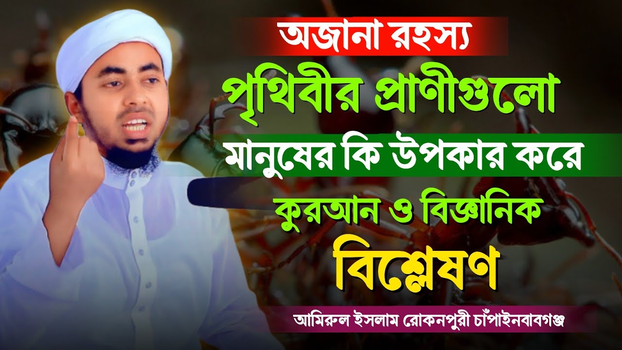 অজানা রহস্য পৃথিবীর প্রাণীগুলো মানুষের কি উপকার করে! কুরআন ও বিজ্ঞান। আমিরুল ইসলাম রোকনপুরী 