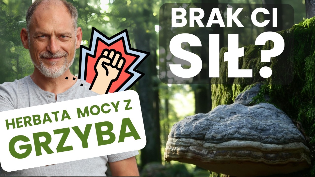⚡ Wzmocnij ODPORNOŚĆ - herbata z pospolitego grzyba PROZDROWOTNEGO (prosty przepis) 🔥