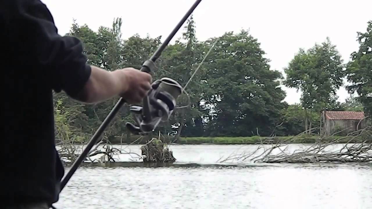 Pêche à la carpe Domaine de la Malonne