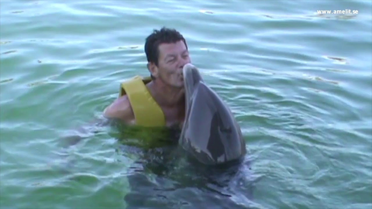 Lek med delfin - Memory from 2012