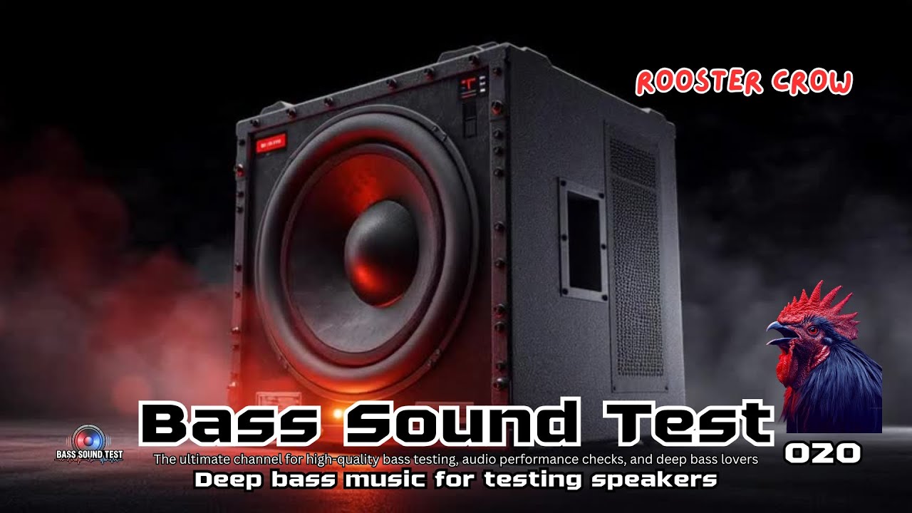 Bass Sound Test. 020