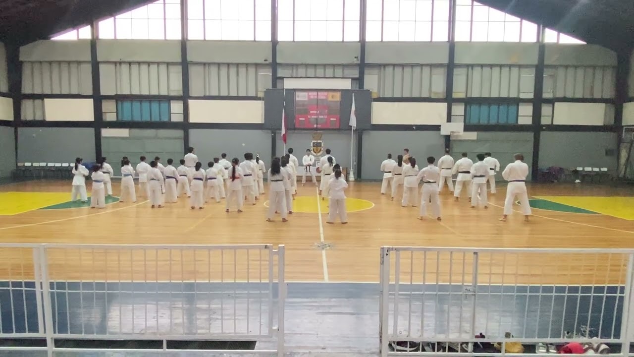 Entrenando con el campeón mundial de karate. Mitsunobu Ito. 