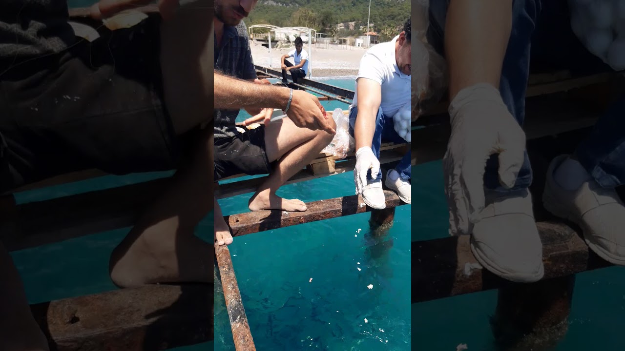 Daha böylesi yok melanur avi!!!!