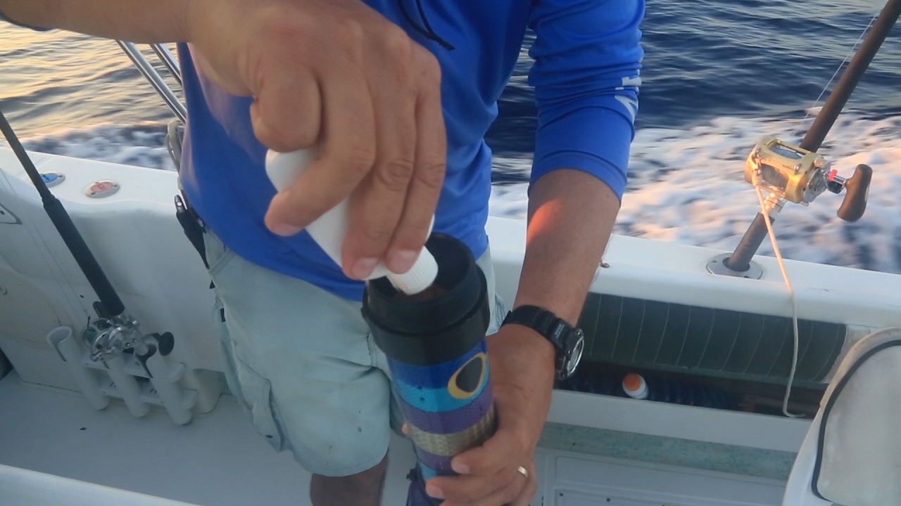 Baja Marlin, Roosters & Tuna Fishing