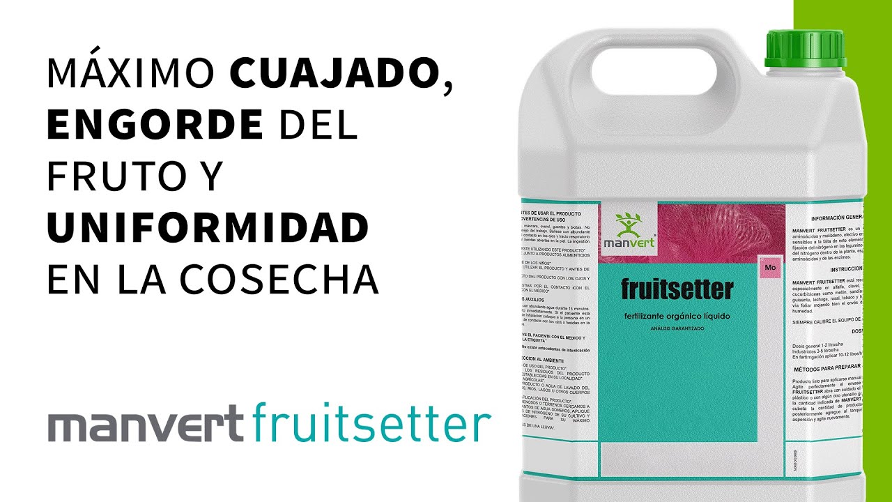 Cómo lograr la máxima producción y uniformidad en tu cosecha · manvert fruitsetter