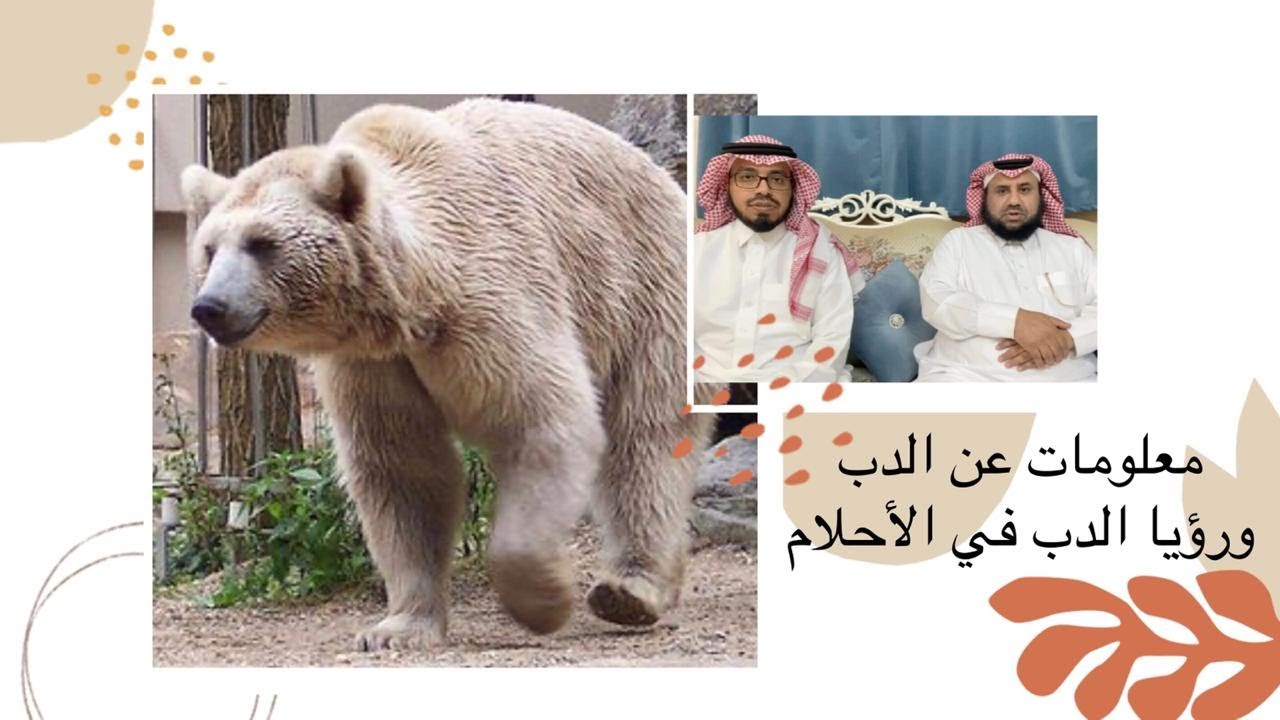 تفسير رؤيا الدب في المنام I الشيخ الطلحاب والماجد