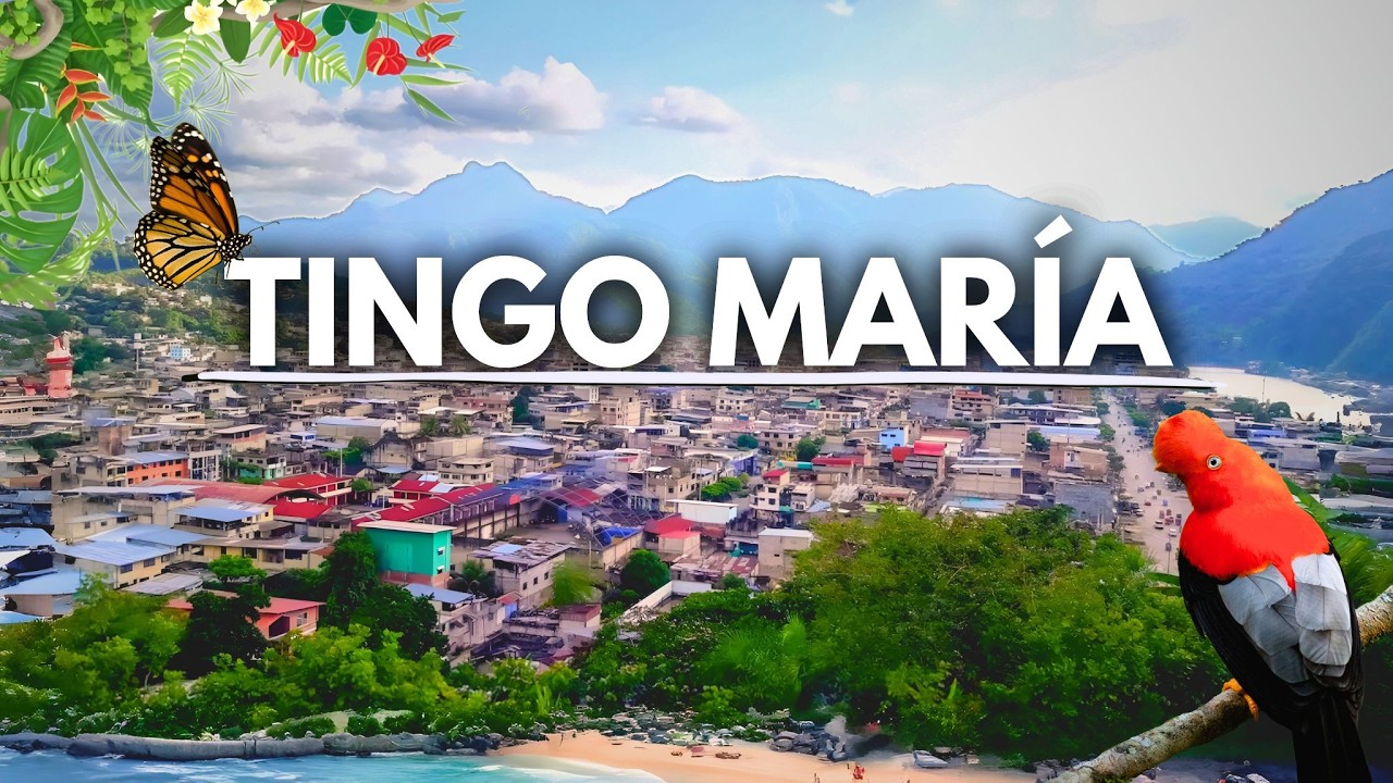 TINGO MARIA SIN TOURS x1 DÍA /¿QUÉ VISITAR? ¿QUÉ HACER? ¿COMO LLEGAR?.