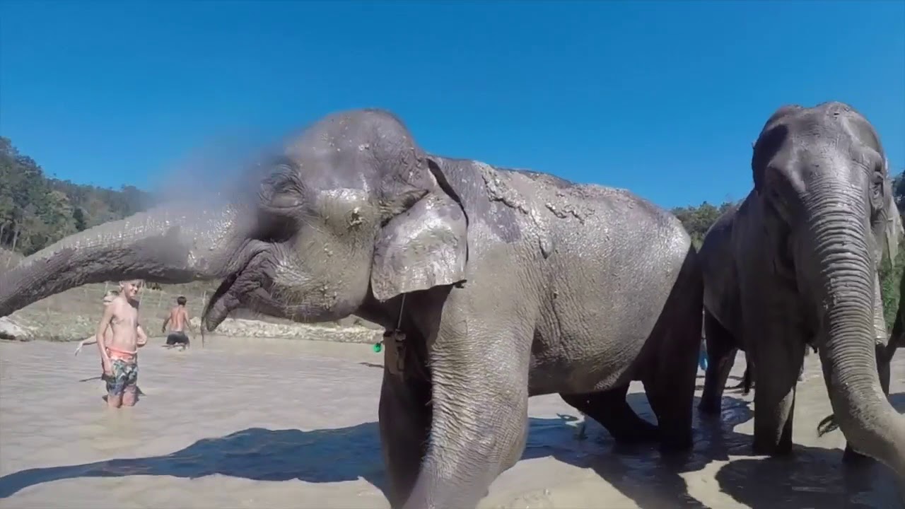 Chiang Mai, Thailand