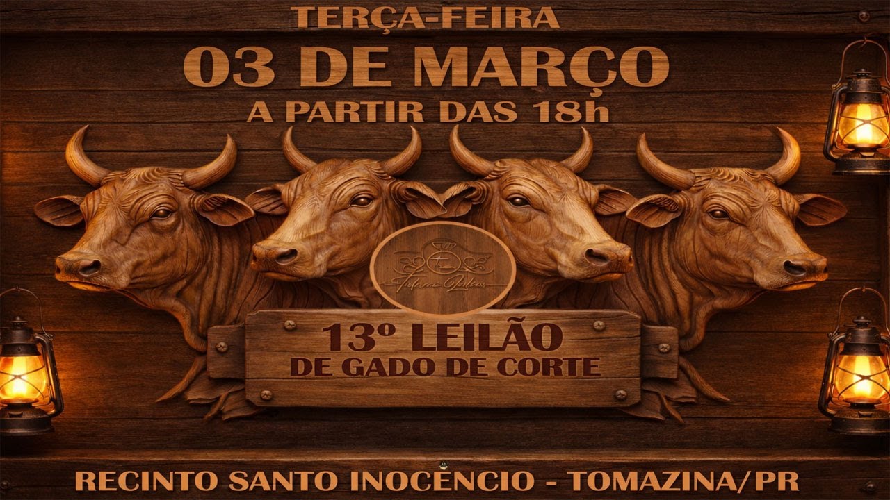 13° Leilão de Gado de Corte - 2026 | Talismã Leilões |Terça-Feira - 03/03 - 18h |Tomazina - PR