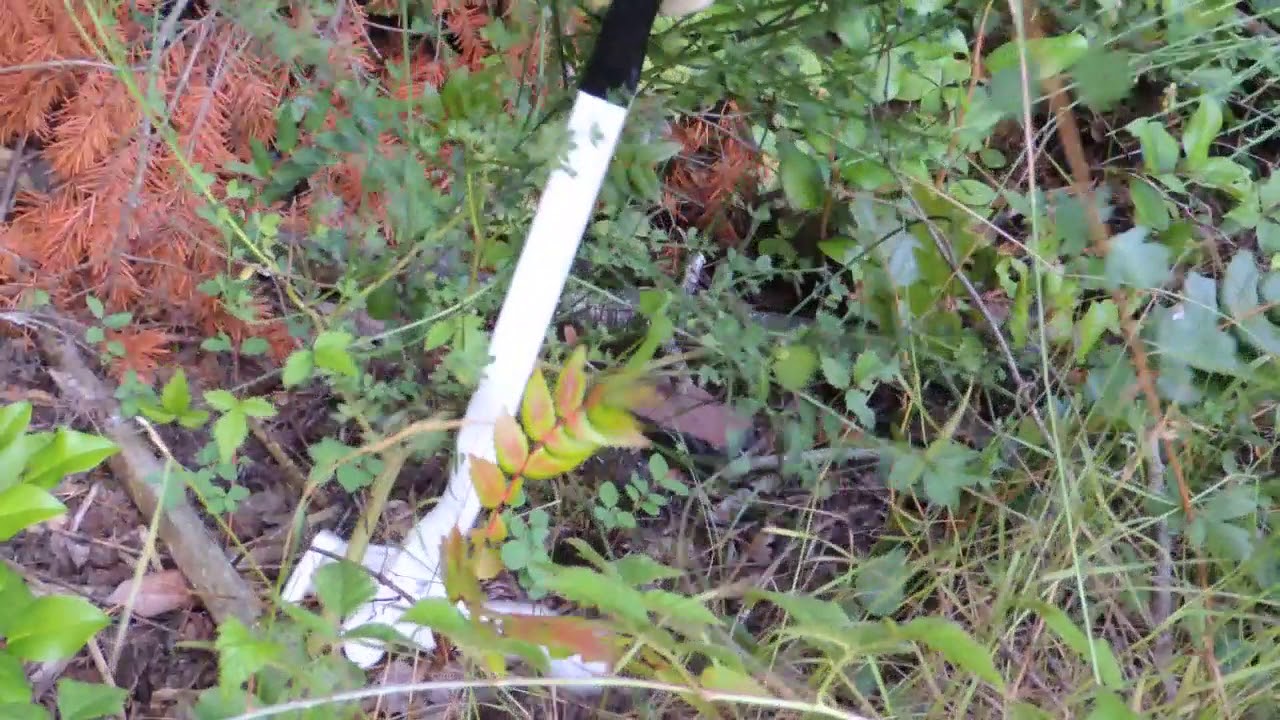 Smallest Tree Puller On The Planet. Pullerbear Cub Lite