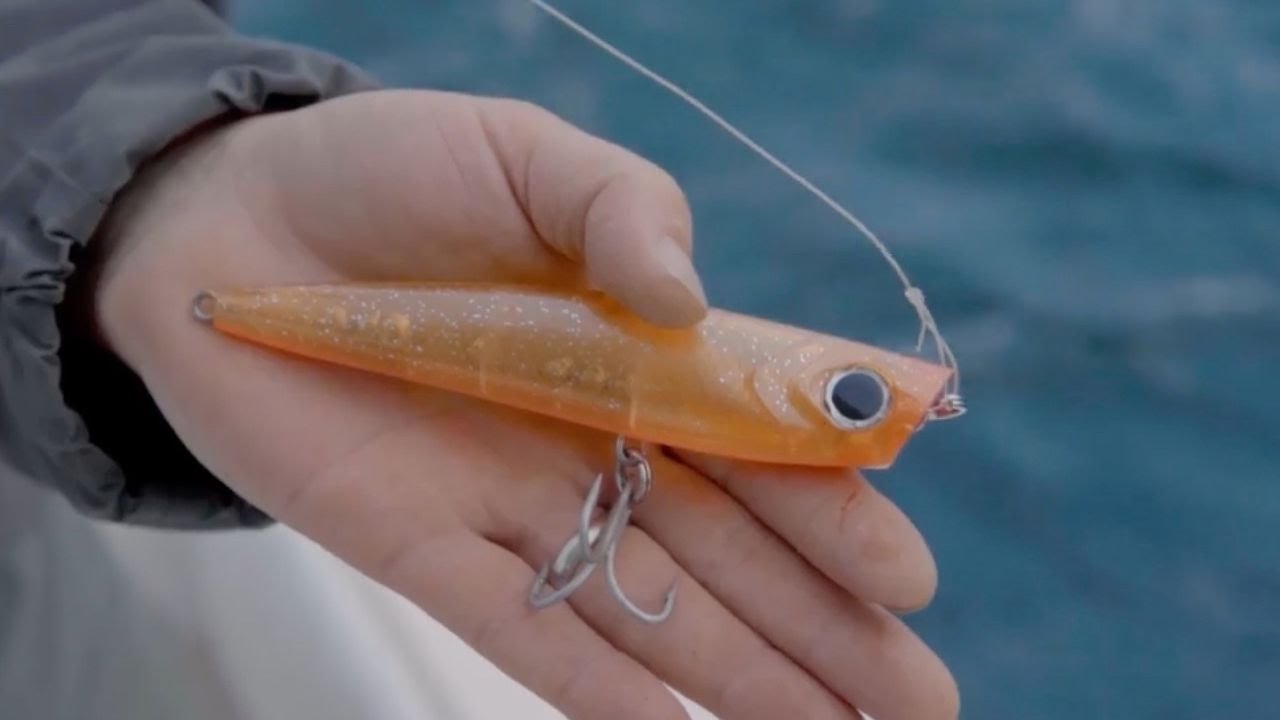 Topwater Stripers in Vineyard Sound