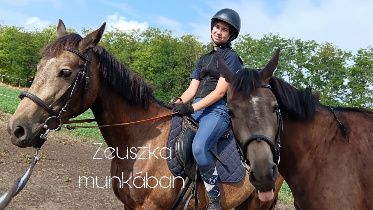 Zeuszka munkában || Dream Pony