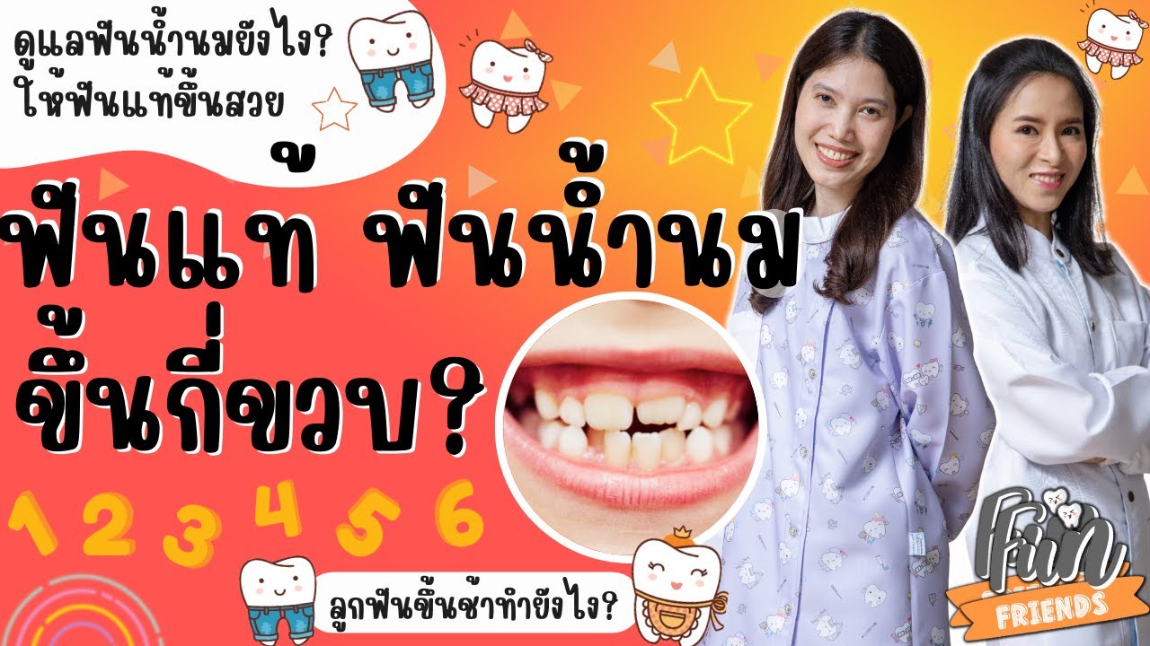 ฟันแท้ฟันน้ำนม ขึ้นกี่ขวบ? ทำยังไงให้ฟันแท้ขึ้นสวย? ลูกฟันขึ้นช้า ทำยังไง?|FunFriendsเพื่อนกันฟันดี|