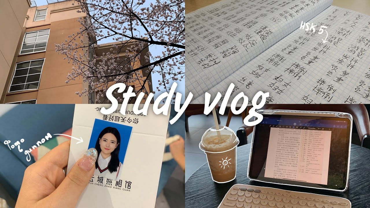 Study vlog 📚📝 готовлюсь к HSK 5 и пишу дипломную