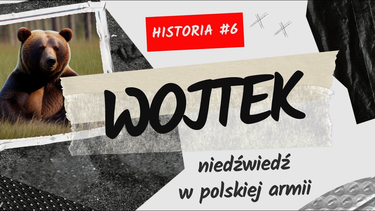 KAPRAL WOJTEK &ndash; niedźwiedź w polskiej armii (Historia #6)