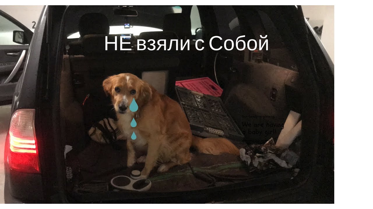 1. Наше путешествие в Баварию город Ротенбург часть 1.