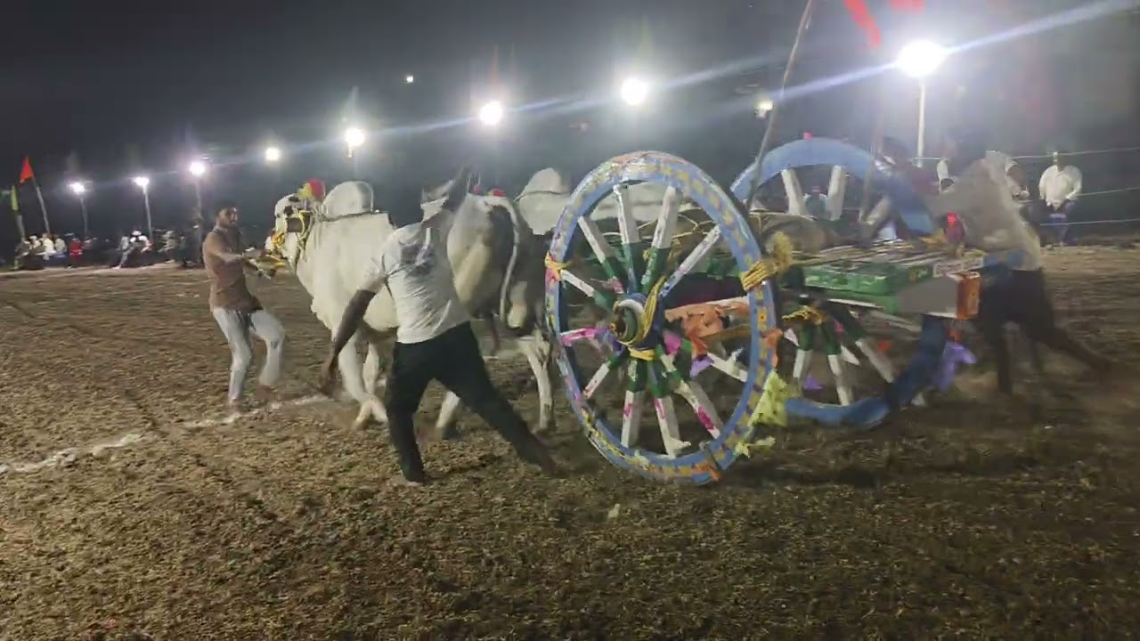 GKBULLS | Guntur Kiran Garu | Isukapalli | Koduru Bulls Race | Trending video | Viral videos 