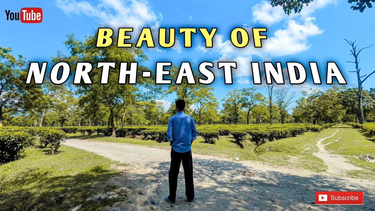 🌿 Exploring the Beautiful Tea Gardens of Assam | North-East India Vlog