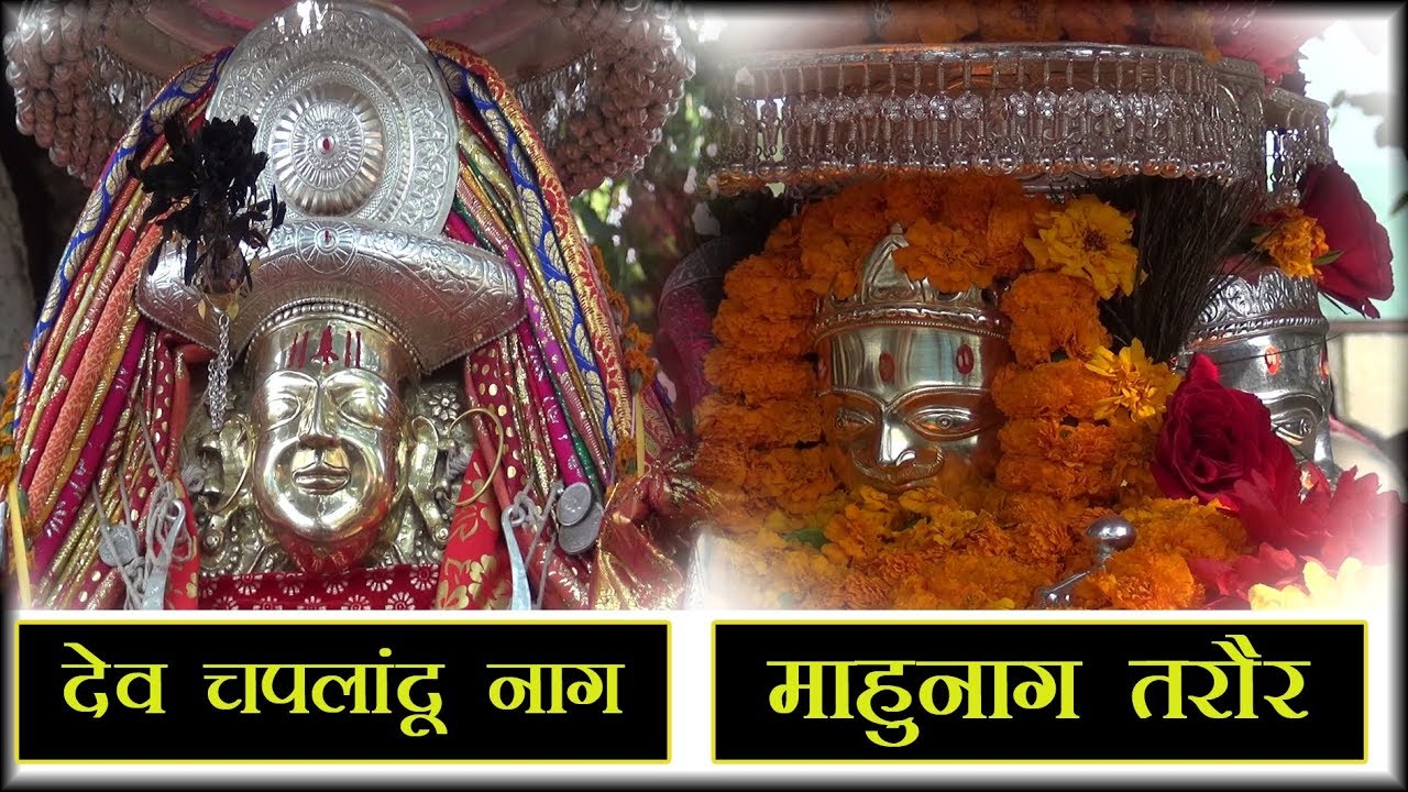 माहुनाग तरौर और देव चपलांदू नाग