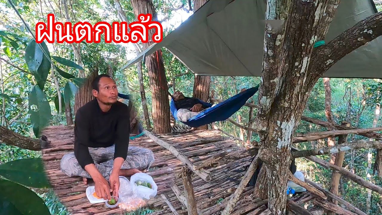 นอนห้างต้นตะเคียนหิน ⛈️เจอพายุฝนฟ้าคะนองทั้งคืน 27/02/69