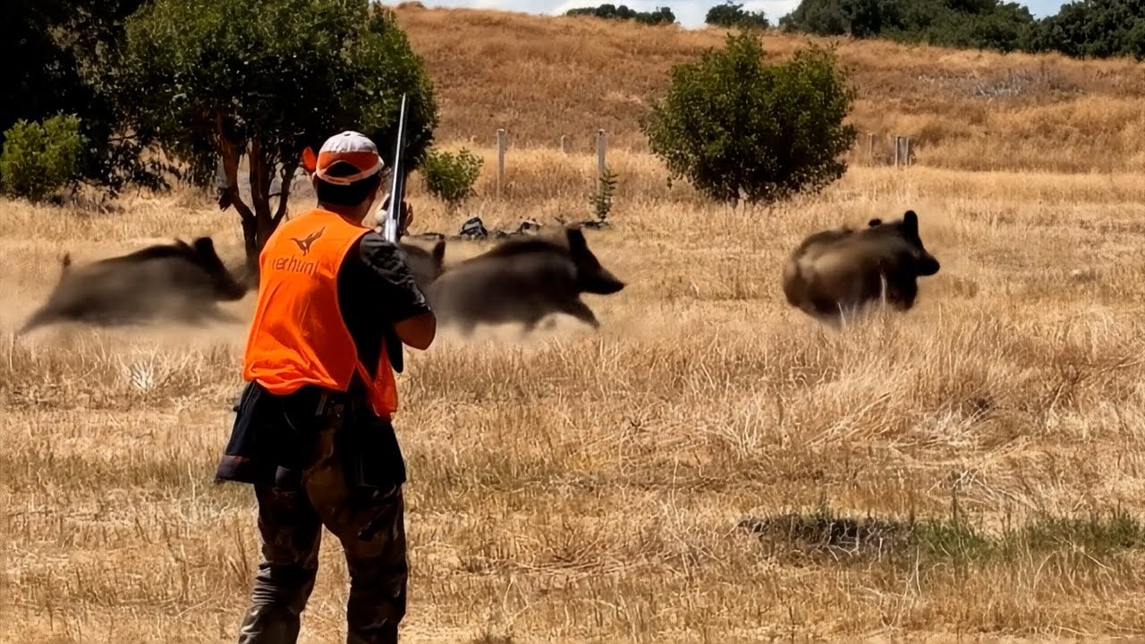 Top 10 Wild Boar Herd Ambushes &ndash; Real Hunting Footage!-PART 4