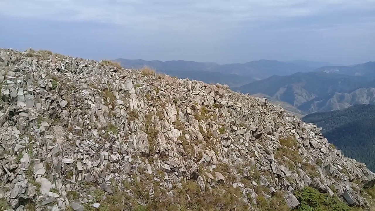 G&uuml;mran alioglu - ( zezman k&ouml;y&uuml; koroglu dagi)