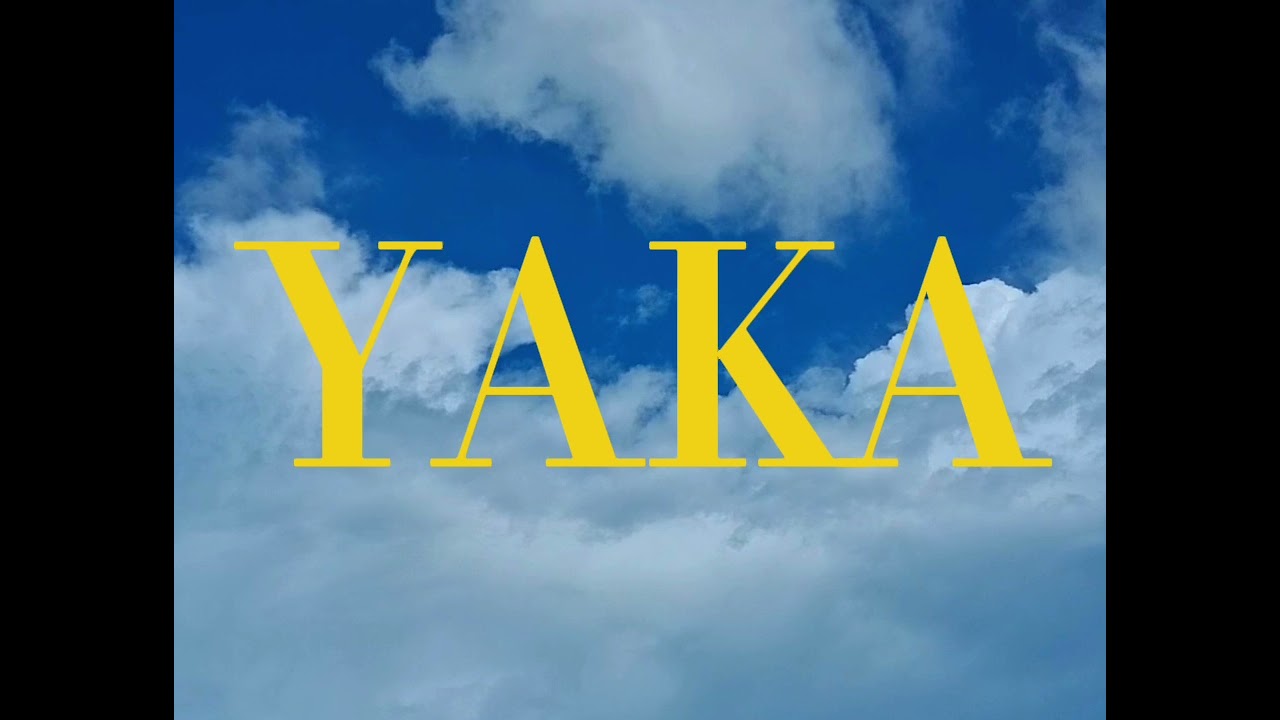 Stanley Stan x Sky Trippin - Yaka