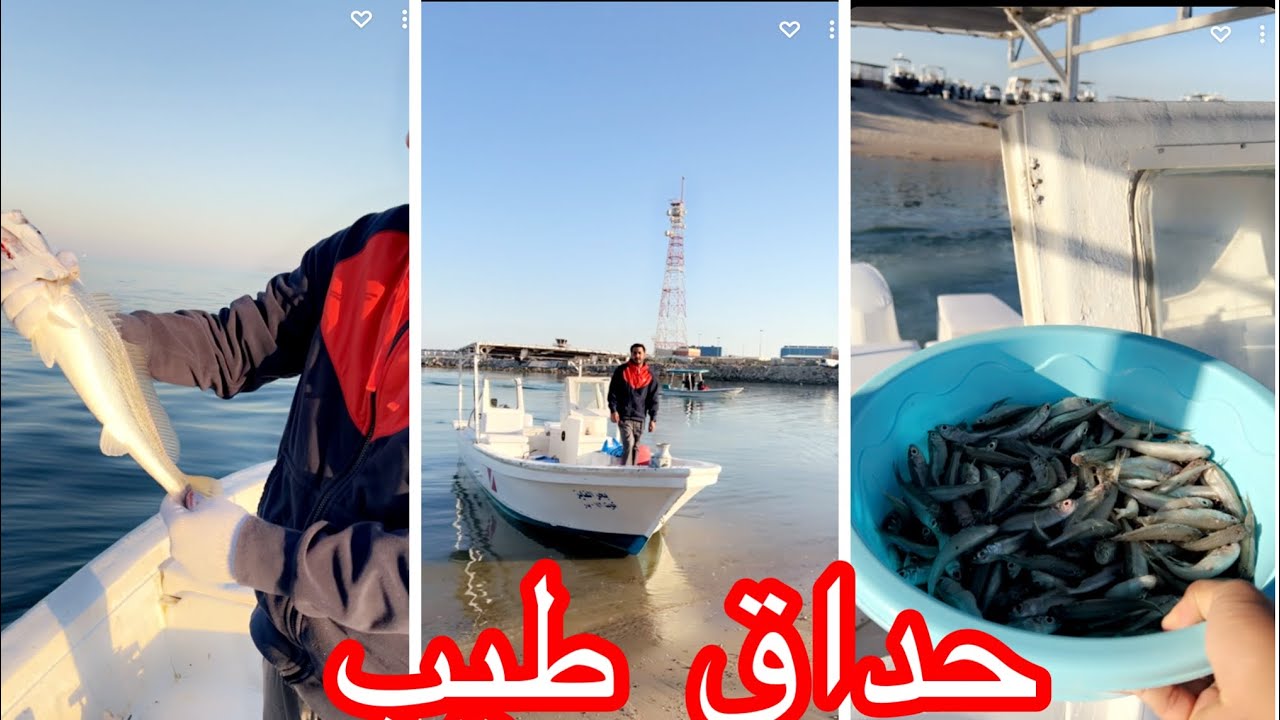 حداق الفنطاس صيد طيب نويبي  شعري اخوكم ابو عزيز حداق الكويت