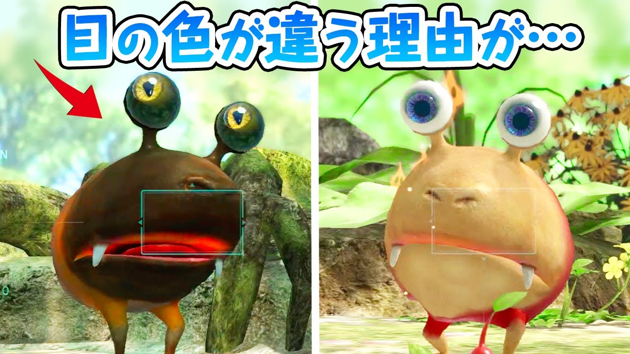 ピクミンには、常にガンギマリ状態のチャッピーがいるらしい…【テンテンチャッピーの驚きの生態】