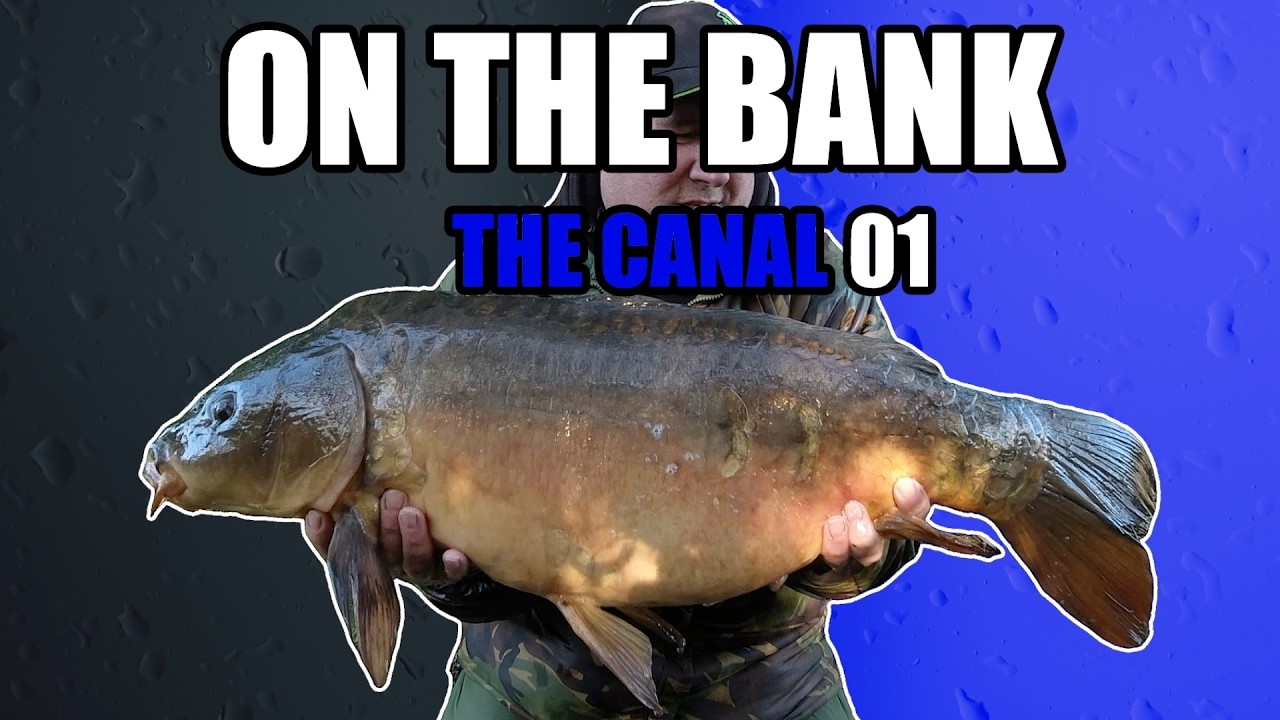 Directors Cut - My 2018 to 2021 Carp Fishing Canal Journey #myvlog #carpfishing #catch #angling