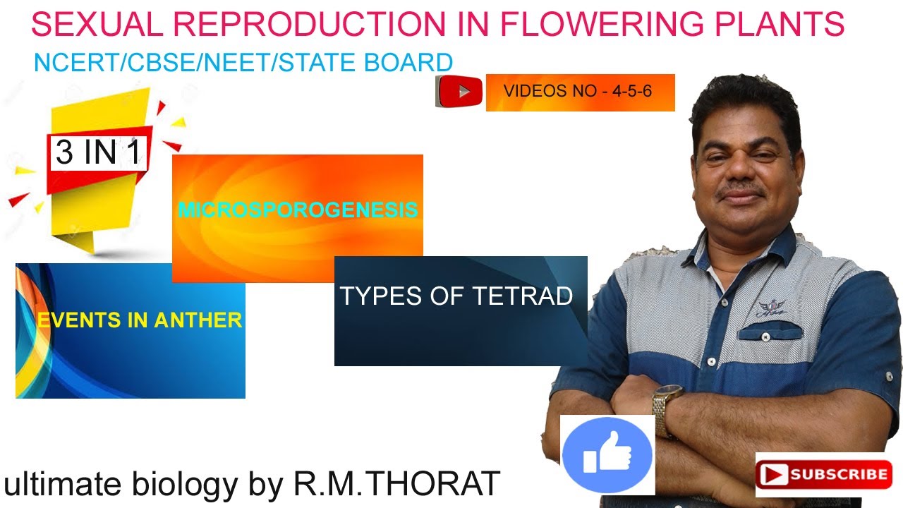 3 IN 1  EVENTS IN ANTHER  MICROSPOROGENESIS   TYPES OF TETRAD  by R.M.THORAT