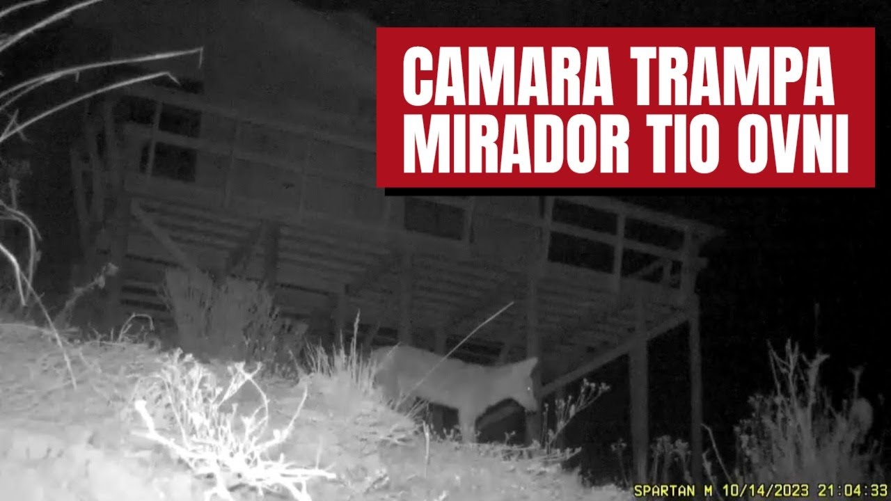 Registros de C&aacute;mara Trampa en el Mirador T&iacute;o Ovni Chile