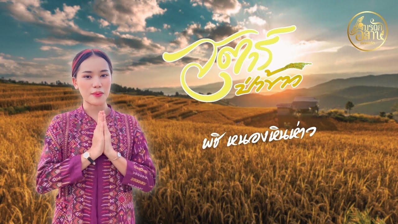 สตาร์ป่าข้าว - พชิ หนองหินห่าว [version cover]