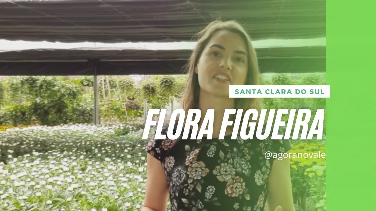 Conheça a estufa Flora Figueira em Santa Clara do Sul