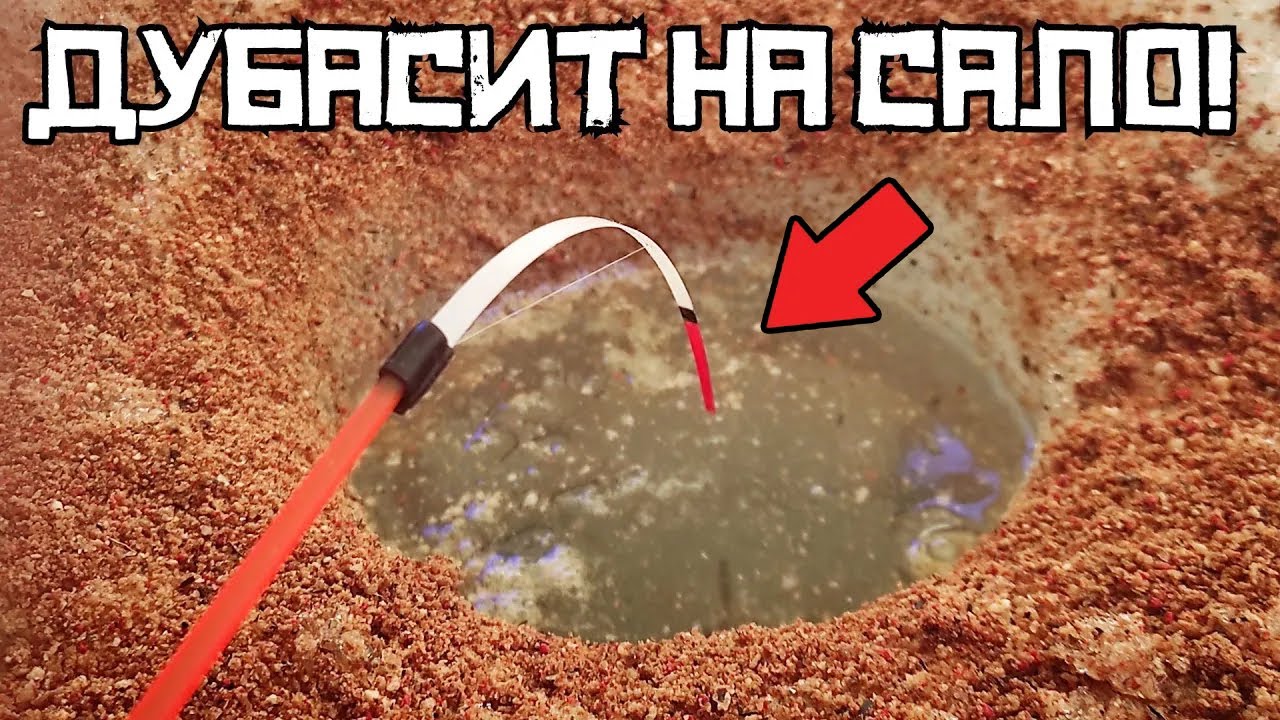 ЧЕСНОЧНЫЙ СЕКРЕТ ПОВЕРГ В УЖАС! Наловили КРУПНЯК на ХИТРОЕ сало! Рыбалка весной 2025