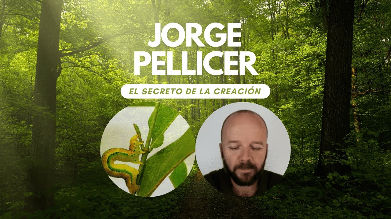 Jorge Pellicer. El secreto de la Creación