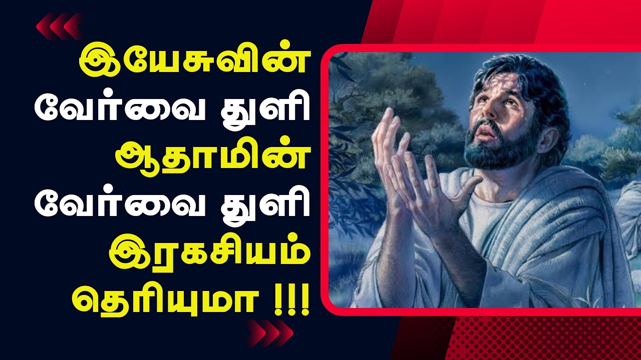 155 - இயேசு இரத்தம் சிந்தின கெத்சமனே தோட்டம் -  Peter Madhavan |Tamil Christian Bible Message